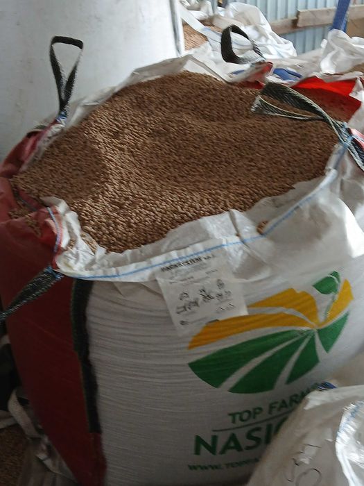 sprzedam              groch batuta oczyszczony łubin na poplony