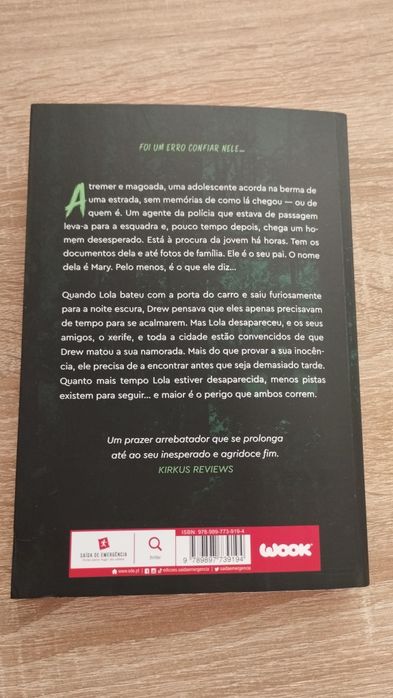 Esse não é o meu nome - Megan Lally
