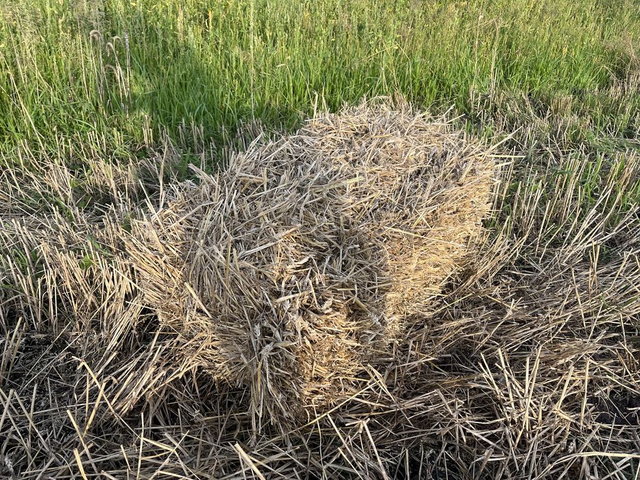 Солома тюки