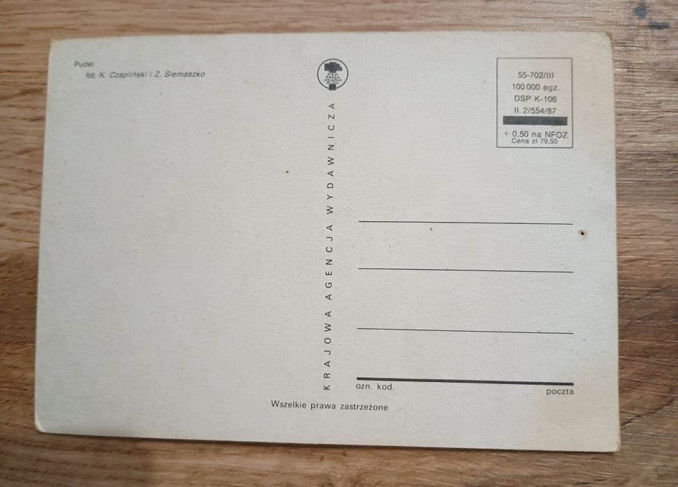 Pocztówka stara Pudel
