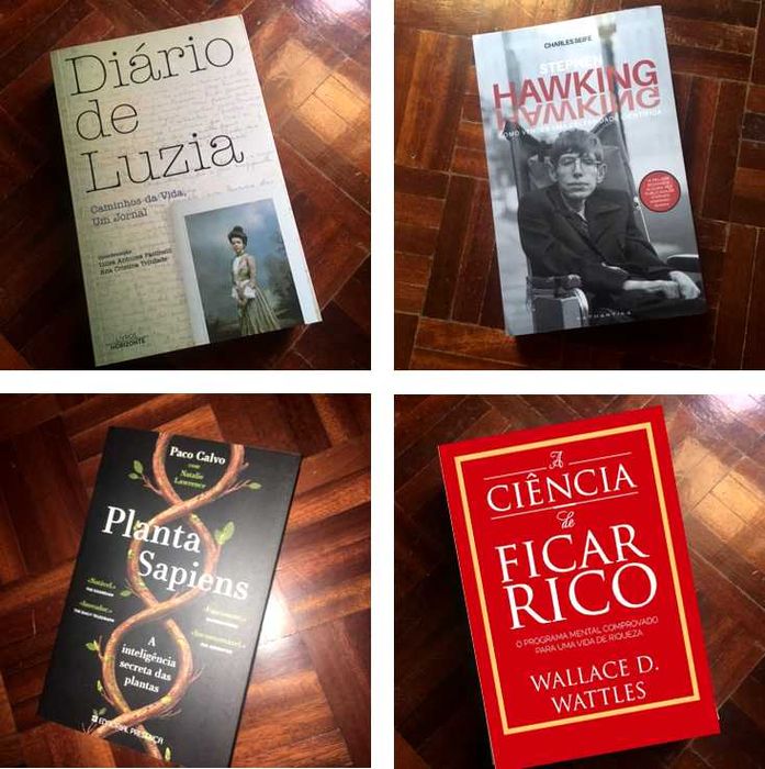 Romances, auto-ajuda... (novos, nunca lidos)