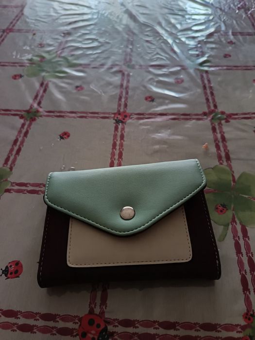 Carteira mulher cor castanho e verde ( Portes grátis)