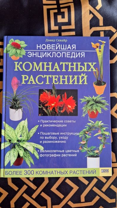 Кімнатні рослини.