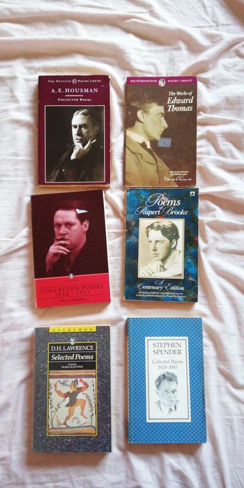 Livros de Poesia - Rimbaud, Pound, Goethe, Ovídio... (portes grátis)