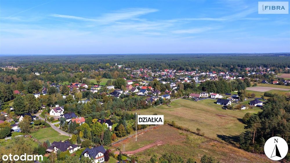 Tam, gdzie śpiewają ptaki