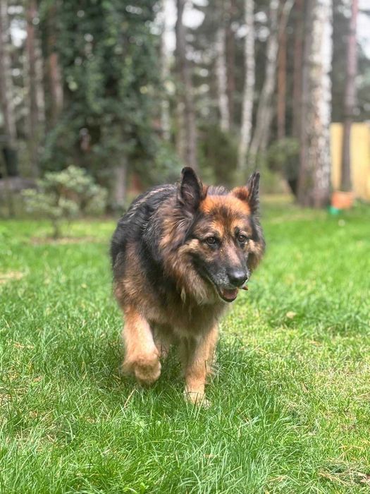 Czuła i spokojna Sally – odda serce temu, kto jej nie zawiedzie