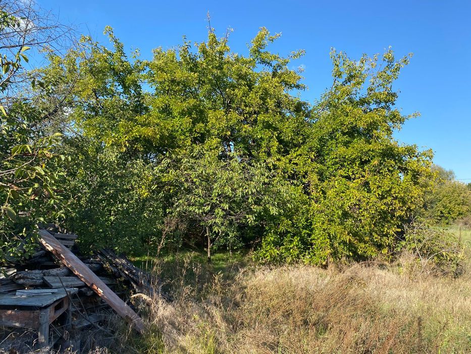 Дом по адресу ул. Васильковская (площадь 68,4 м²) - Atlanta.ua - фото 13