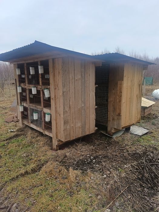 Klatki dla królików