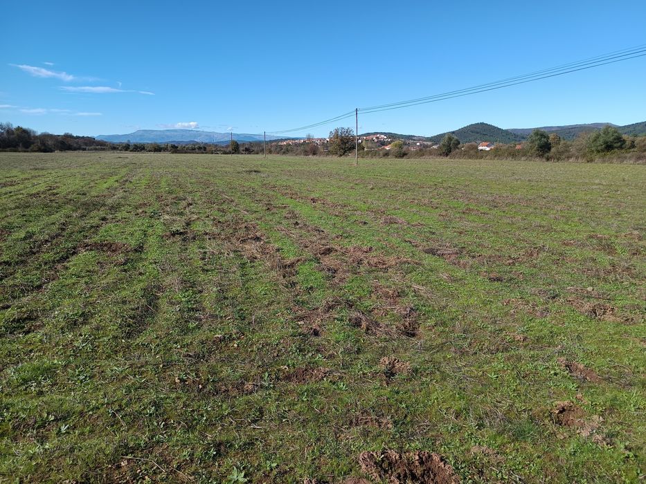 Quinta em Meimoa 9 ha