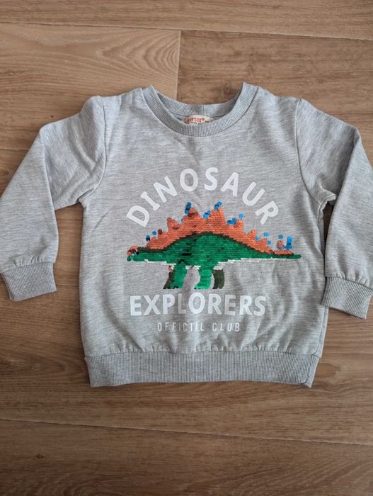 Світшот реглан кофта на флісі для хлопчика Silversun  Некст,  92 см