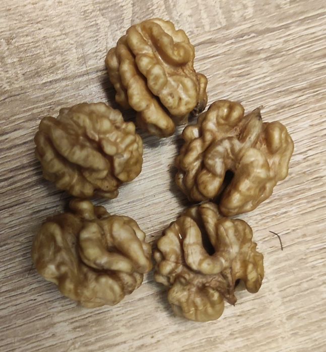 Горіх грецький домашній , сухий, відбірний