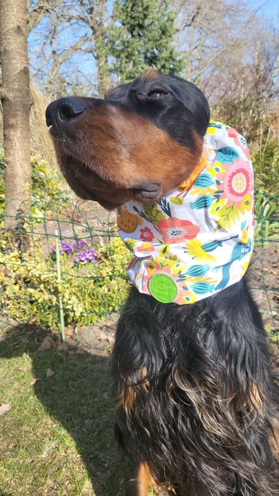 Snoody bawełniane,nauszniki dla psów dlugouchych, spanieli,