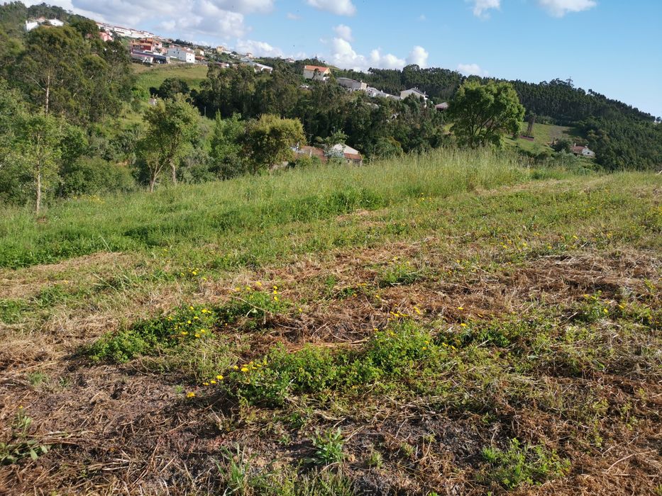 Terreno Pedra Amassada Santo Isidoro Mafra