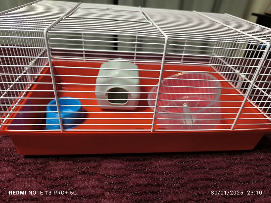 Gaiola para hamster