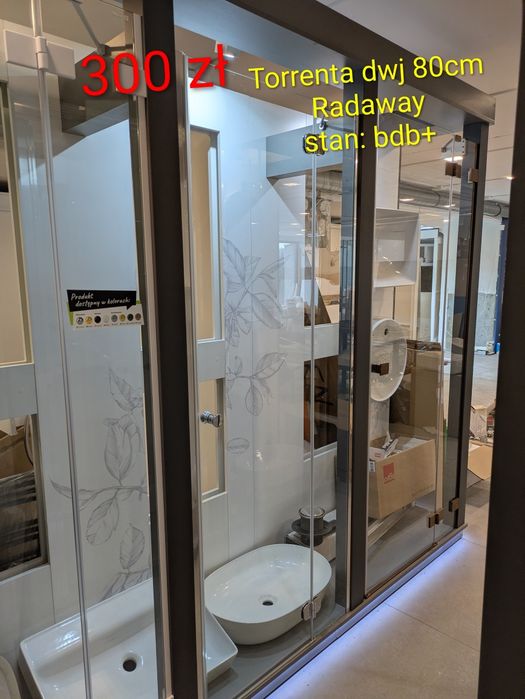 Kabina drzwi Radaway Ronal