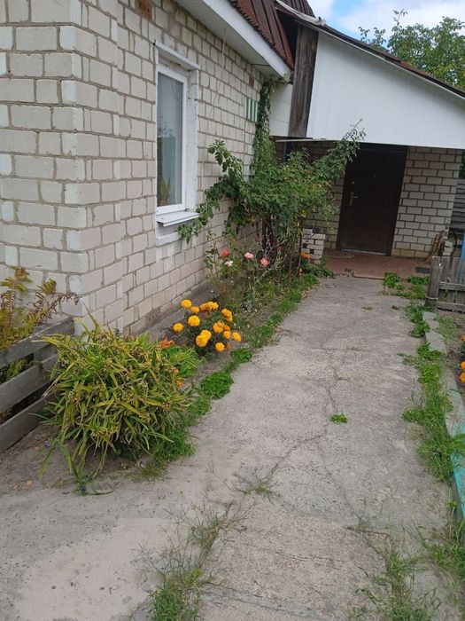 Продам будинок с. Морівськ