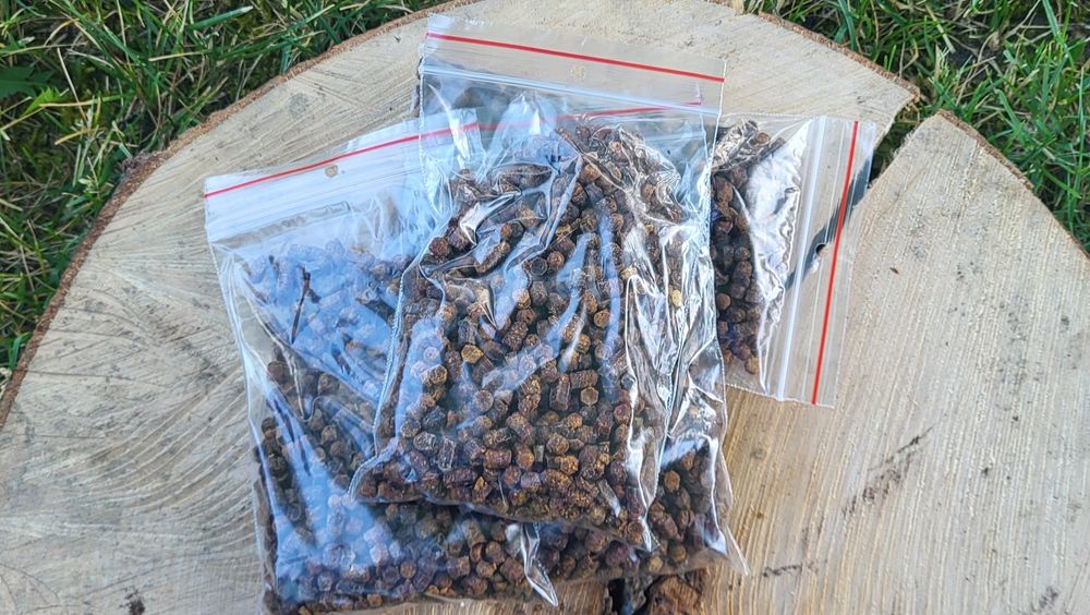 Pierzga Pszczela 100 gram