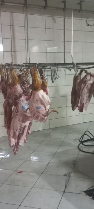 Забійний цех реалізує свинину з сертифікатами якості!!!
