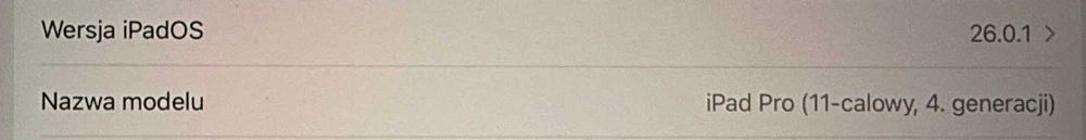 iPad PRO 11 cali 1TB dysk M2 srebrny