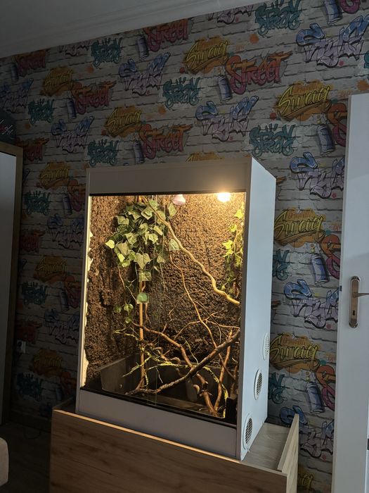 Sprzedam terrarium z wysposazeniem