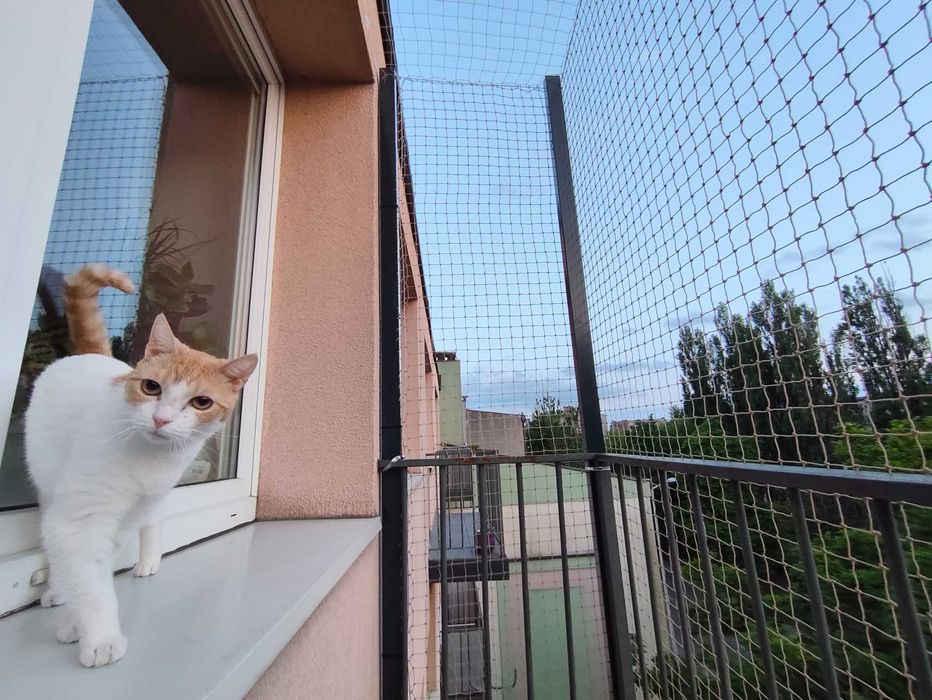 Siatki Balkonowe -20% Wolne terminy - dla kotów, przeciwko ptakom