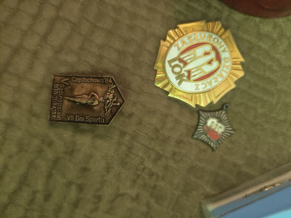 Odznaka Zasłużony Działacz Ligi Obrony Kraju