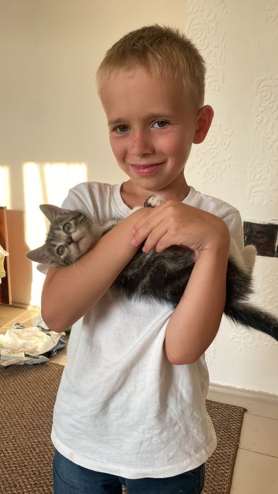 2 кішечки, вік 2 місяці