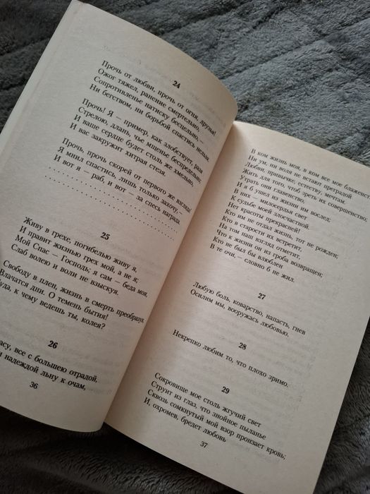 Микеланджело, письма и поэзия