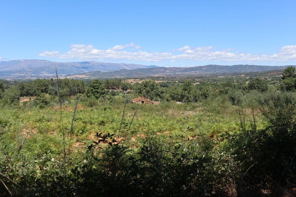 Quinta de 3,6 hectares com ruínas e terreno urbano em Alcaide