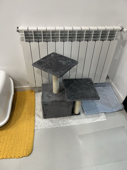 arranhador para gato