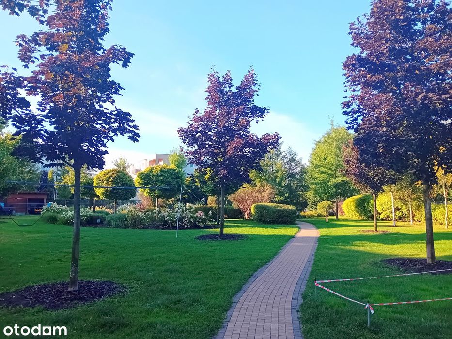 Komfortowe 2 pokojowe na ostatnim piętrze z windą