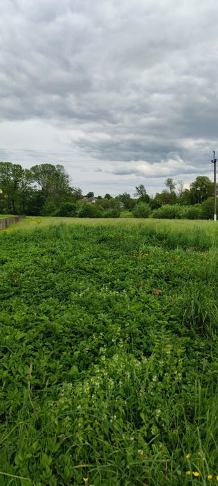 Земельна ділянка