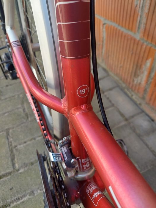 Arkus classic 1000