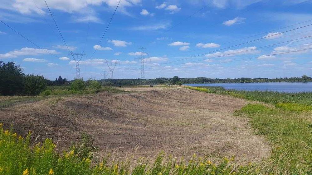 Usługi mulczerem leśnym