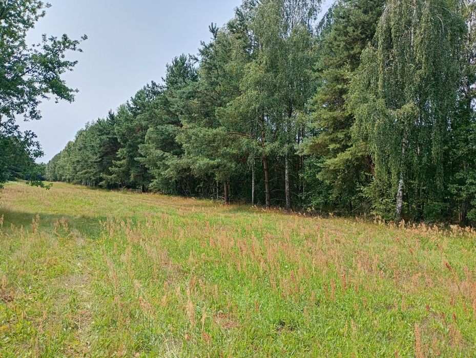 Dzialka budowlana