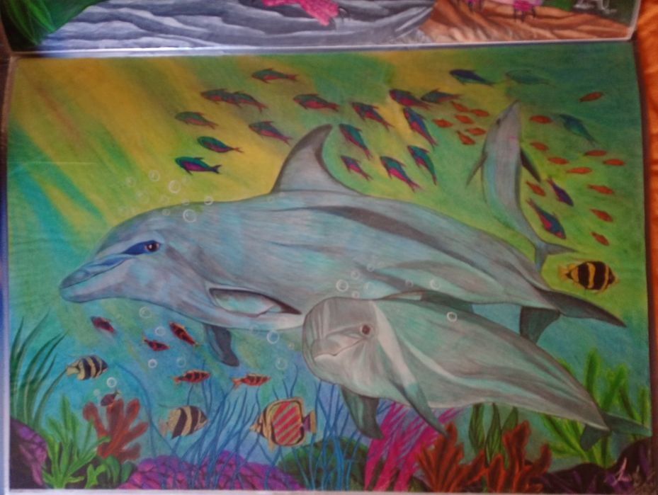 Desenhos a lápis de cor A2   40/60 cm