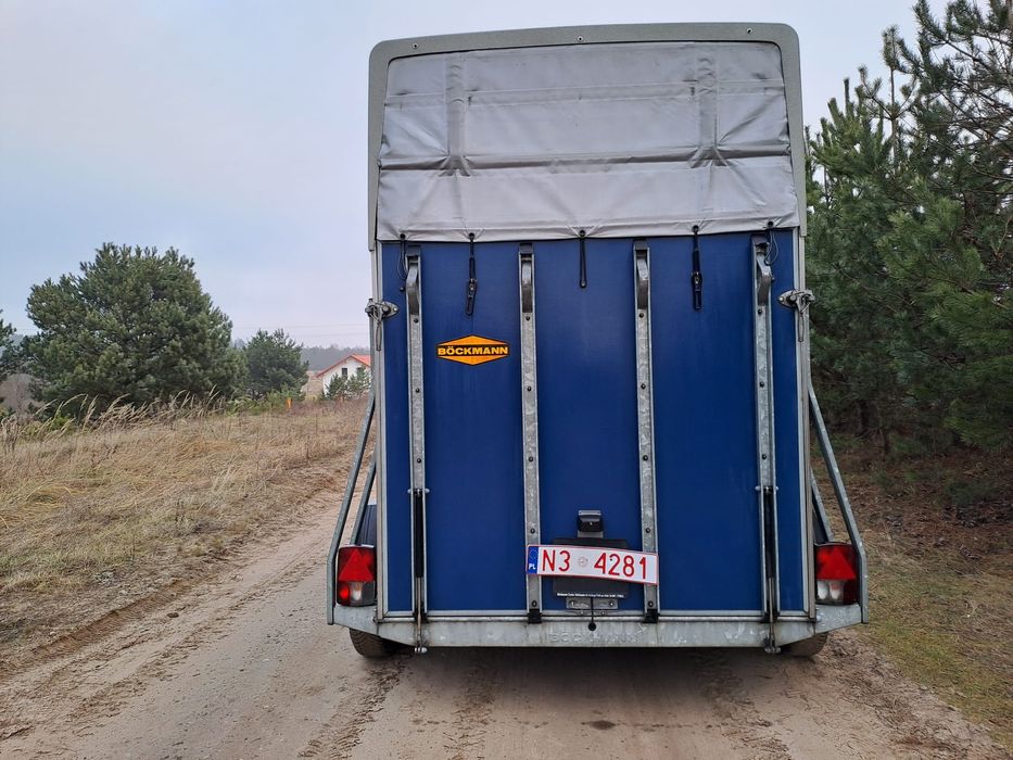 Przyczepa na dwa konie Boeckmann Western Duo