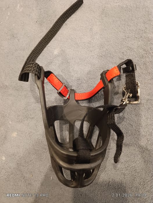 Kaganiec dogs creek r.M