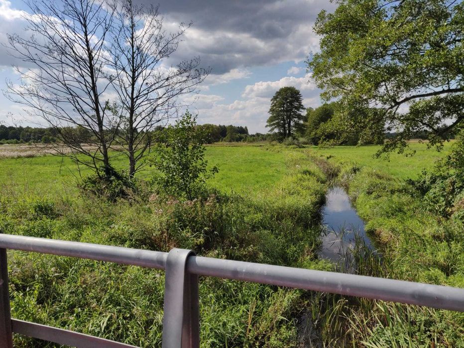 Działka budowlana 5000 m2 pod dom i własny staw | Zagórze k/ Radomska