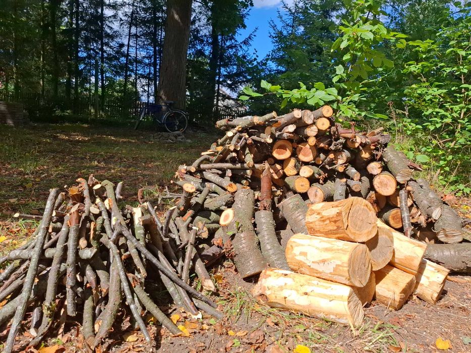 drewno do wędzenia_WIŚNIA 100 kg