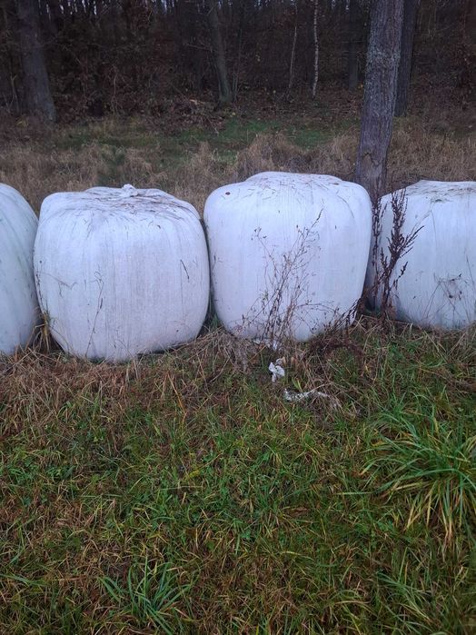 Sianokiszonka, baloty