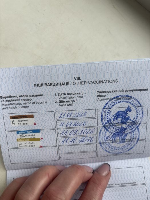 Малюки такси.