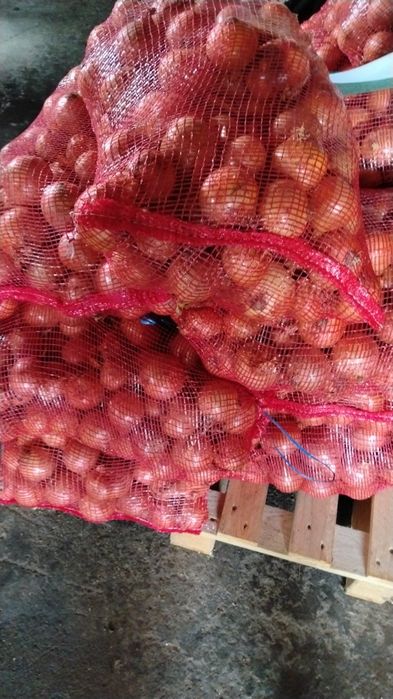 Batata e cebola  Preço Top