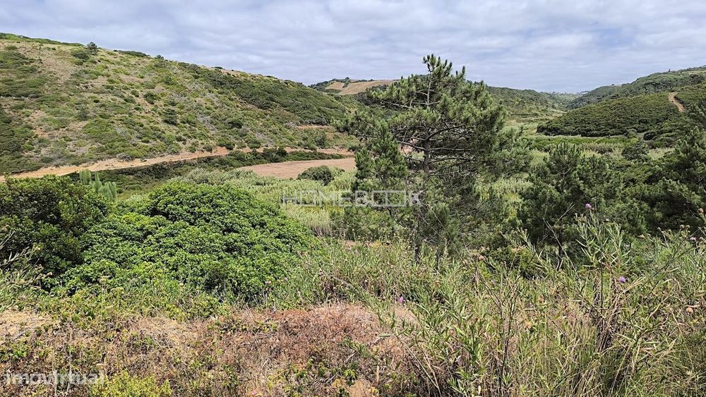 Terreno Rústico de 2032m2 com Curso de Água | Assafora - Sintra