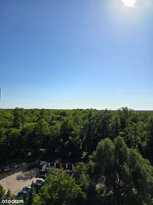 3 pokoje | Winda | Balkon | Park Wolności