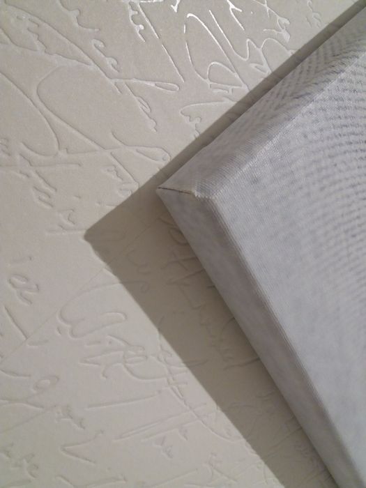 Obraz grafika na płótnie Kotek