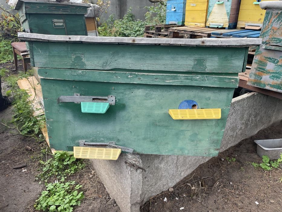 Продам улья для пчел