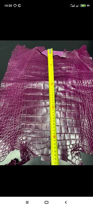 Кожа крокодила длина 70--80см