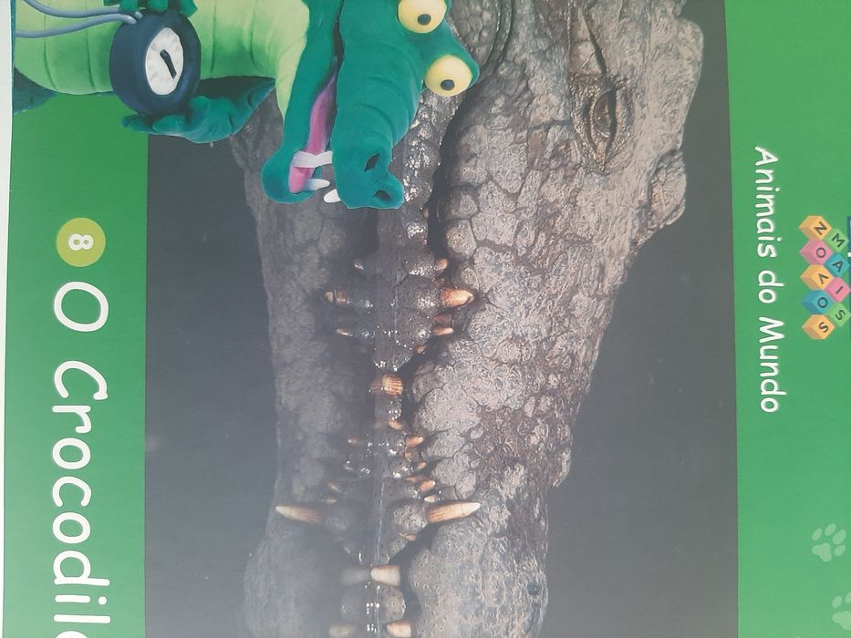 Colecção de 12 livros da vida animal