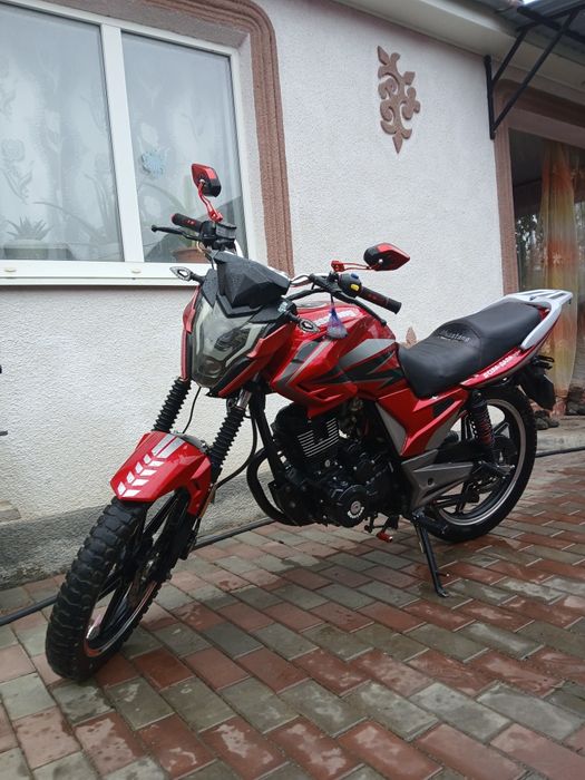 Musstang Region mt 08